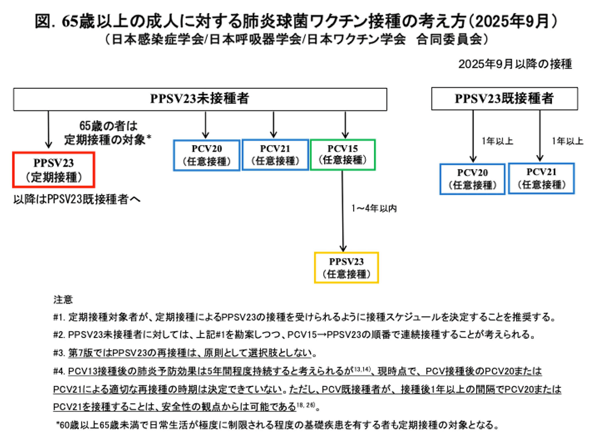 65歳以上の成人に対する肺炎球菌ワクチン接種の考え方 2025年9月