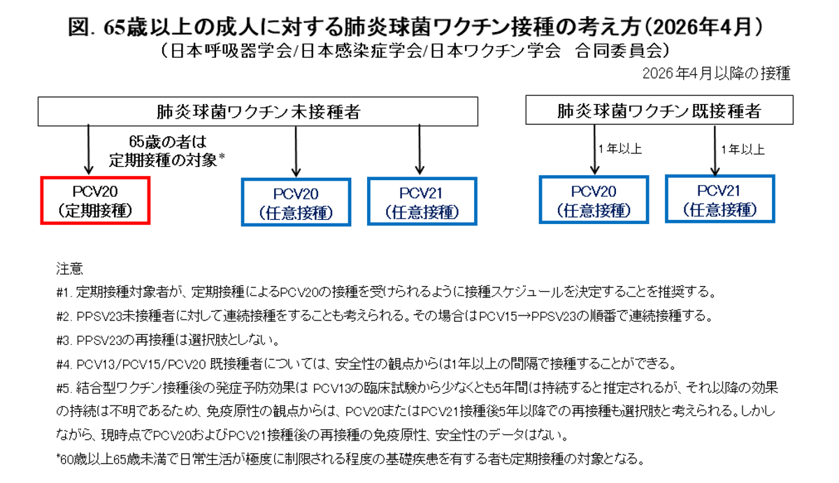 65歳以上の成人に対する肺炎球菌ワクチン接種の考え方 2026年4月