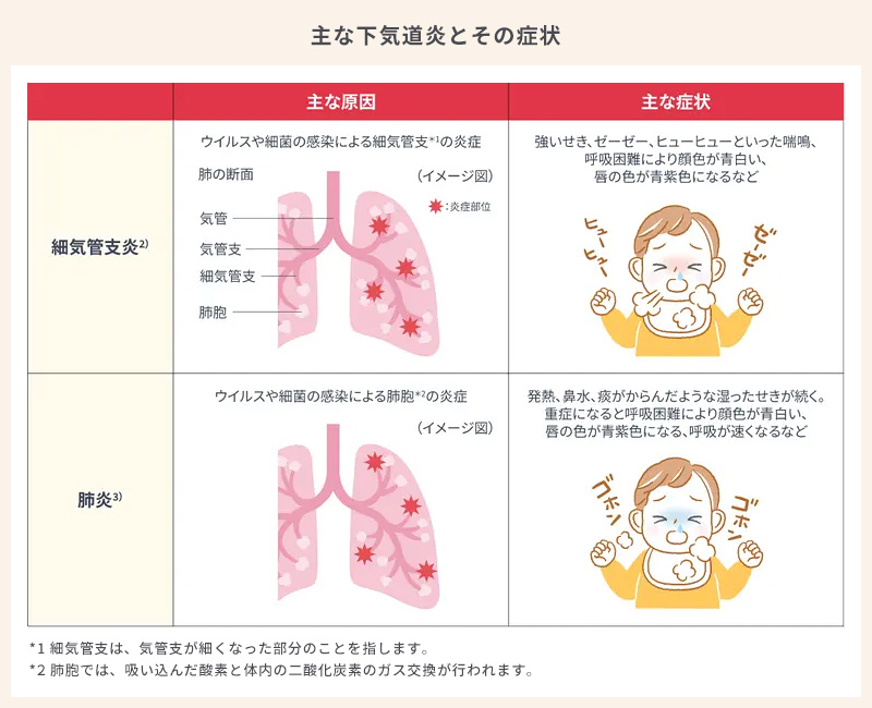 主な下気道炎とその症状